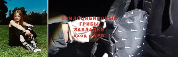 apvp Арсеньев