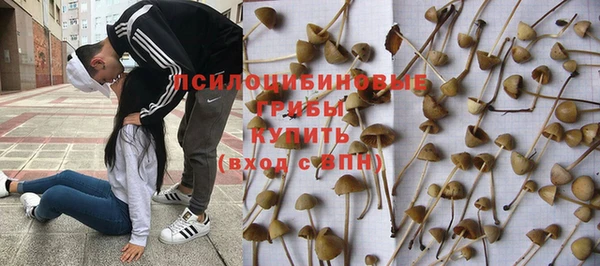 apvp Арсеньев