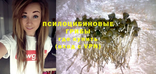 apvp Арсеньев