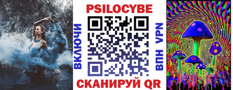 Галлюциногенные грибы Psilocybine cubensis  Сосновка 