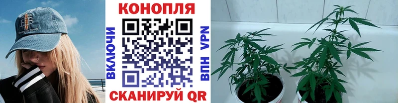 Шишки марихуана LSD WEED  ссылка на мегу онион  Сосновка 